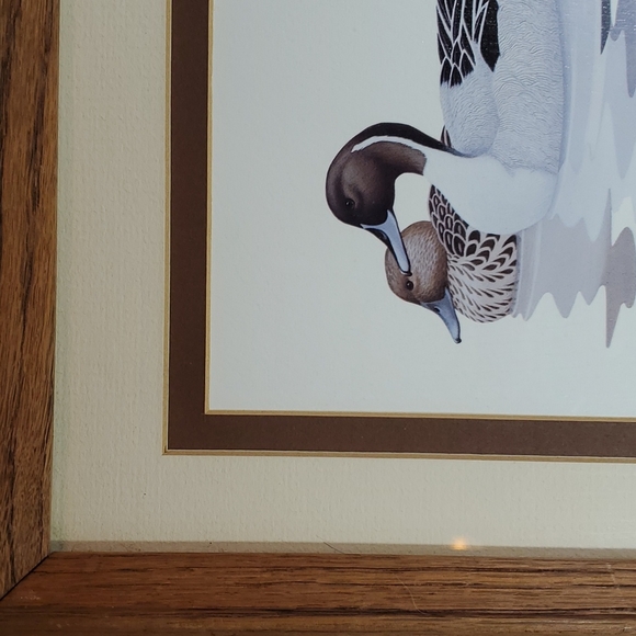 Vintage Richard Sloan Duck Print Framed - Picture 4 of 7